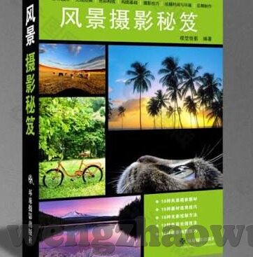 艾秋 麻豆文化传媒有限公司-光影背后的生活艺术，艾秋与麻豆文化传媒公司的独特魅力