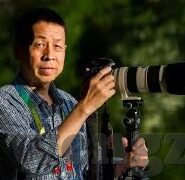 大象传媒官方入口-探索大象传媒的官方入口，解锁数字娱乐新视界