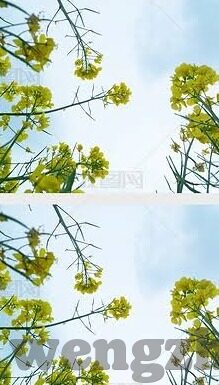 麻豆国产av片无码-麻豆国产av片无码的误区与现实思考